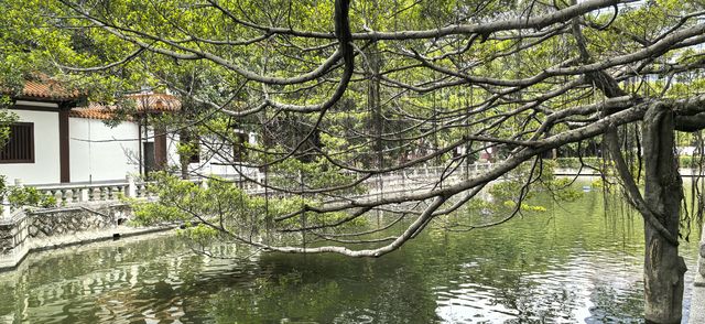 福州的禪意時光