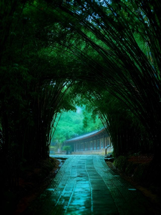 景德鎮剛回來,唯一沒踩雷超出預期的景點 景德鎮剛回來,唯一沒踩雷超出預期的景點