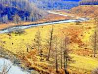 深秋阿爾山騎馬逐浪邂逅大興安嶺最美秋天