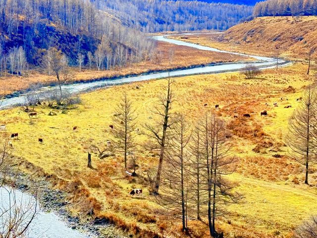 深秋阿爾山騎馬逐浪邂逅大興安嶺最美秋天