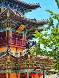 秋日限定青島-威海-煙台要去攻略