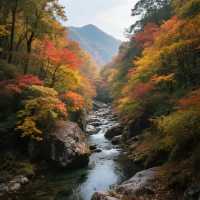 光霧山的美景，讓你們也能輕鬆開啟一場夢幻之旅