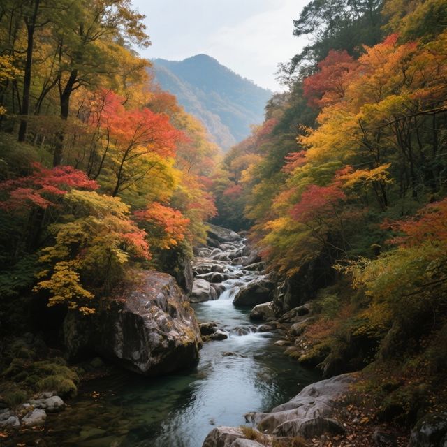 光霧山的美景，讓你們也能輕鬆開啟一場夢幻之旅