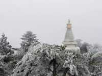 廬山初雪來啦南方人尖叫！朋友圈攝影大賽穩贏攻略！