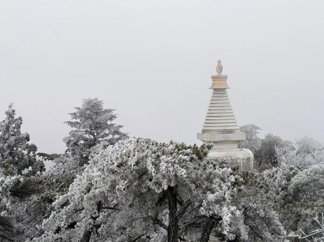 廬山初雪來啦南方人尖叫！朋友圈攝影大賽穩贏攻略！