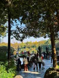 漫步詩歌裡成都浣花溪公園的神仙玩法