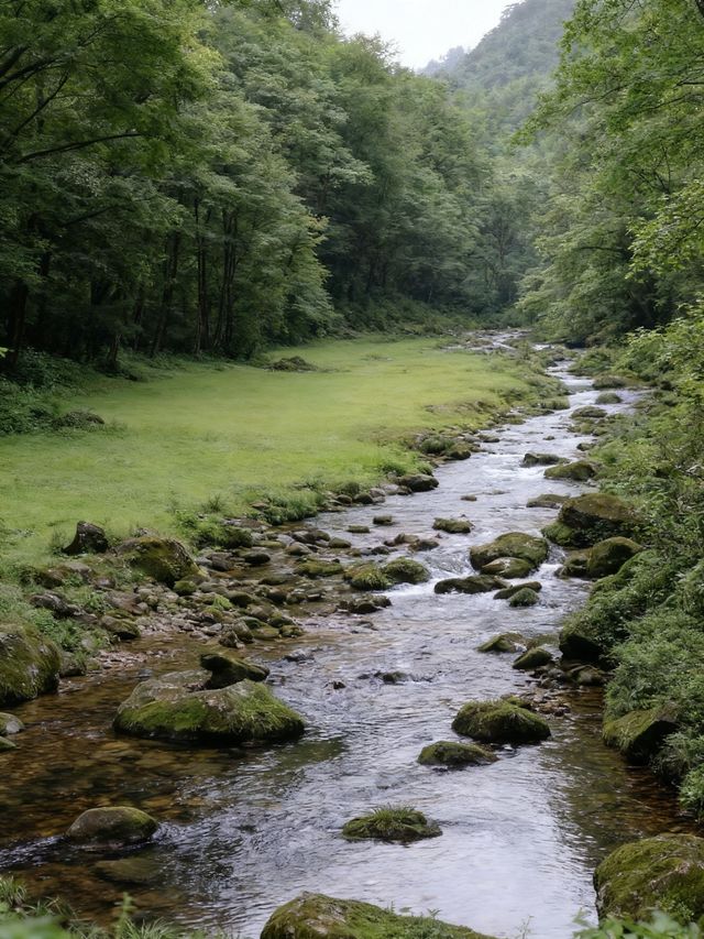 張家界3日遊，秋日必衝！