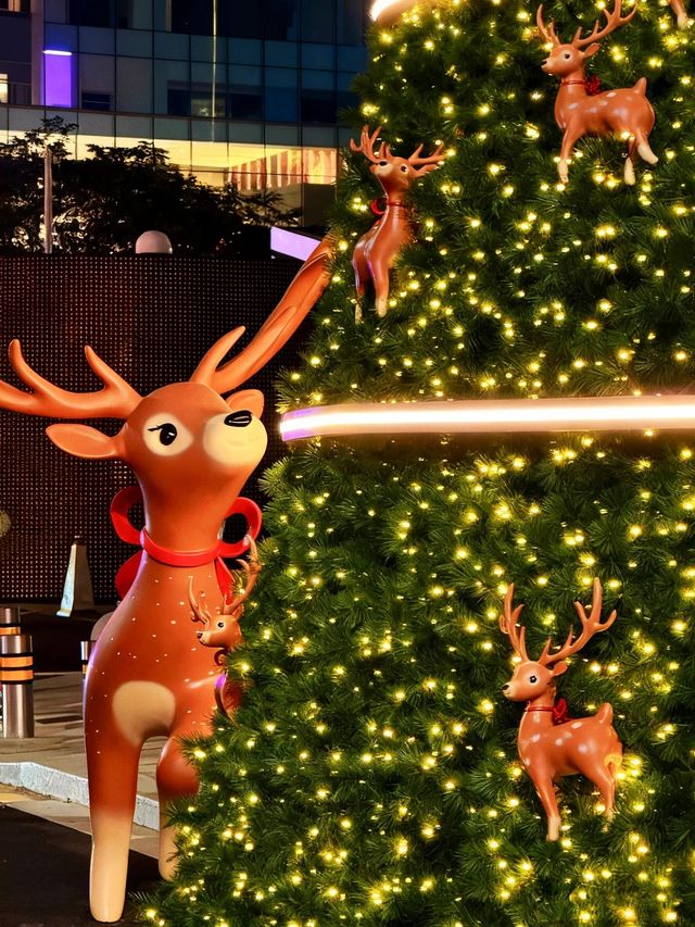 深圳這裡聖誕節氛圍已經開始濃了 深圳這裡聖誕節氛圍已經開始濃了