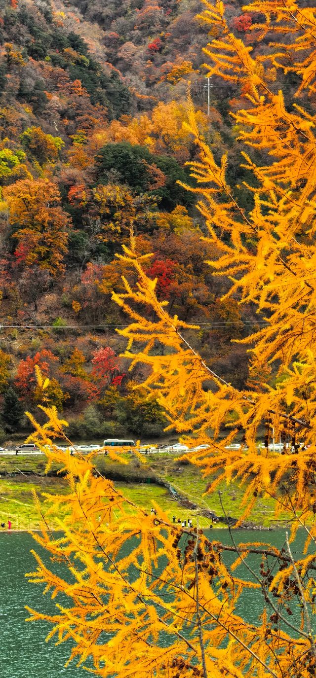 藏寨秋遊好去處 藏寨秋遊好去處