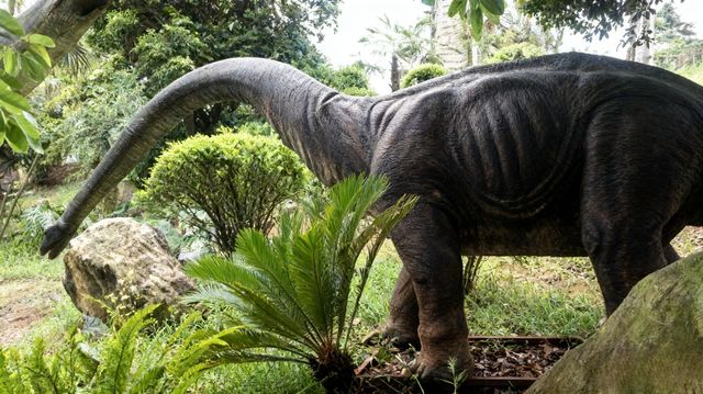 自貢怎麼玩?這份「鹹鹹的」攻略帶你逛吃「龍宮」和燈海! 自貢怎麼玩?這份「鹹鹹的」攻略帶你逛吃「龍宮」和燈海!