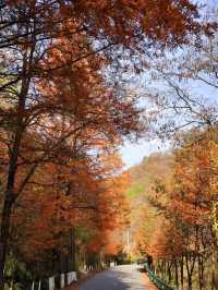 西安周邊丨沒有人能拒絕住進秦嶺群山深處……