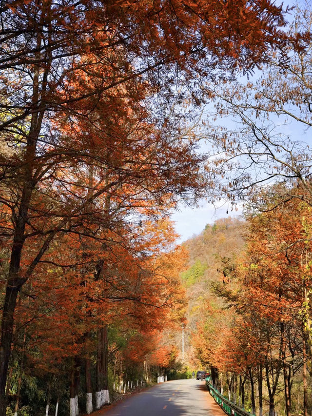 西安周邊丨沒有人能拒絕住進秦嶺群山深處……