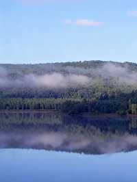 在伊春找到了現實版綠野仙蹤!!|湯旺河林海奇石的一天