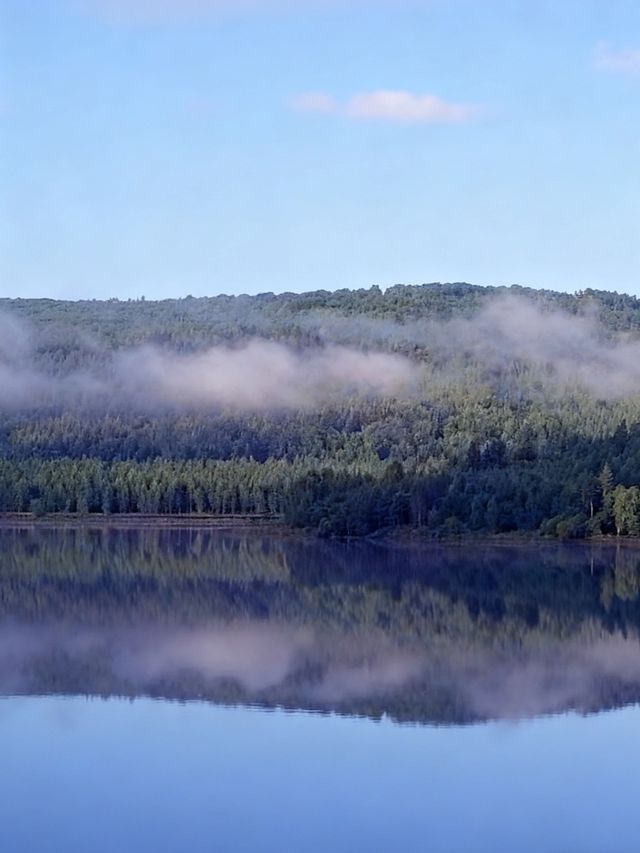 在伊春找到了現實版綠野仙蹤!!|湯旺河林海奇石的一天 在伊春找到了現實版綠野仙蹤!!|湯旺河林海奇石的一天