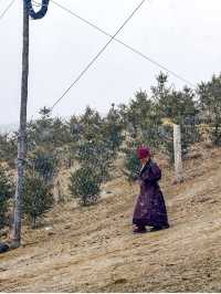 在理塘寺｜我看到了信仰美好的樣子