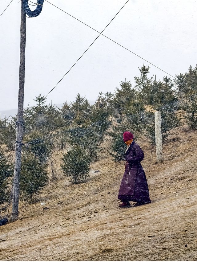 在理塘寺｜我看到了信仰美好的樣子