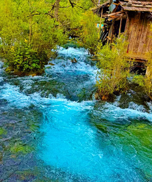 Warning: Don't visit Jiuzhaigou lightly, you might never appreciate other landscapes after seeing it