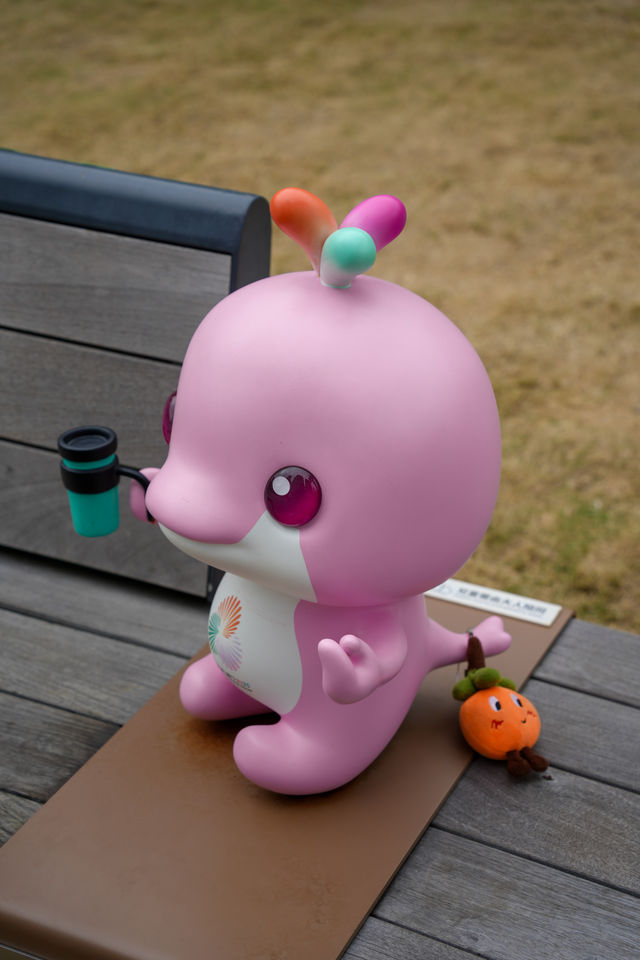 香港啟德體育園大灣雞萌到心化! 香港啟德體育園大灣雞萌到心化!