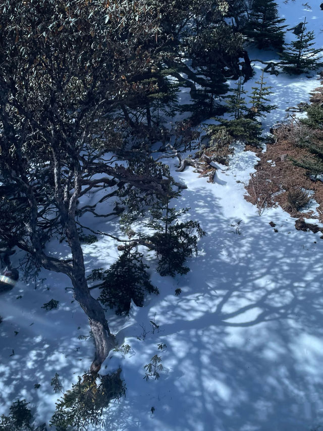 遇見香格里拉的石卡雪山：一座能「看八座雪山」的財神山