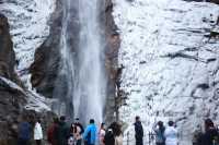 太平國家森林公園冬季特惠開啟