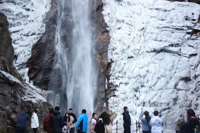 太平國家森林公園冬季特惠開啟