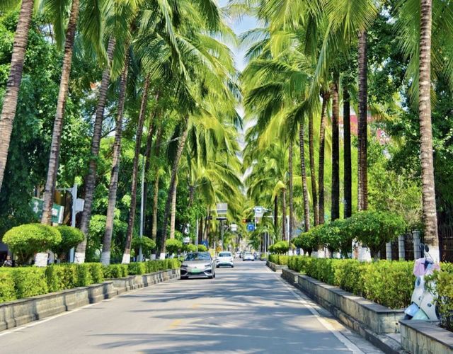 版納市區私藏!膠片感避世秘境 版納市區私藏!膠片感避世秘境