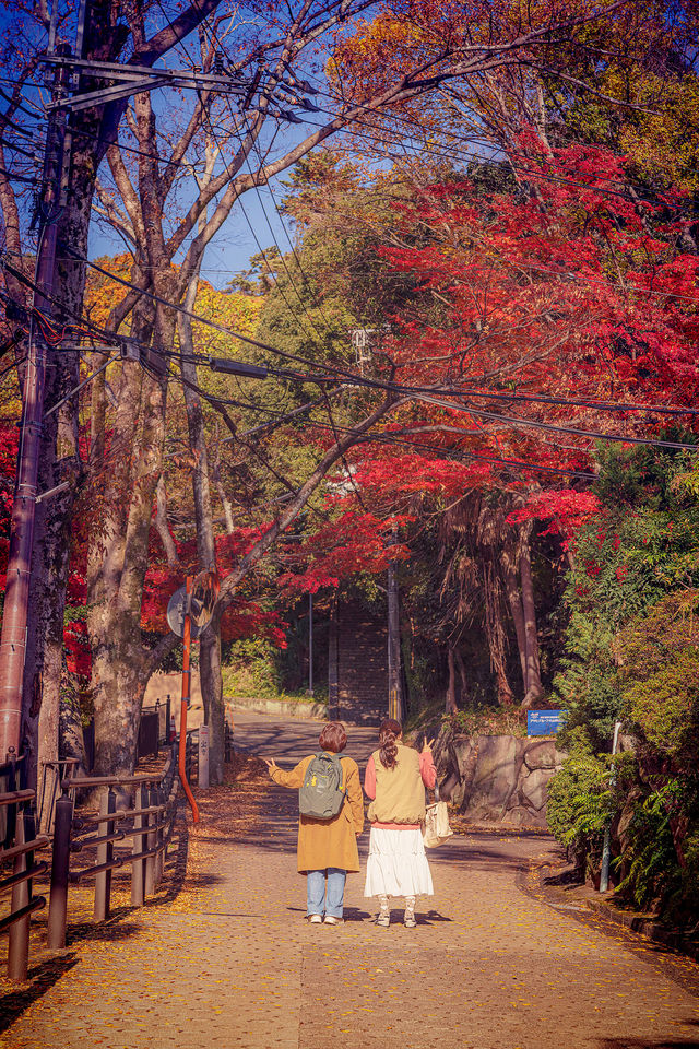 大山崎山莊美術館