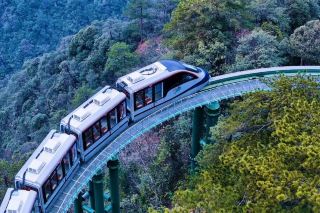 A Quiet Winter Journey at Dajue Mountain, a Slow-Paced Time Healing Trip