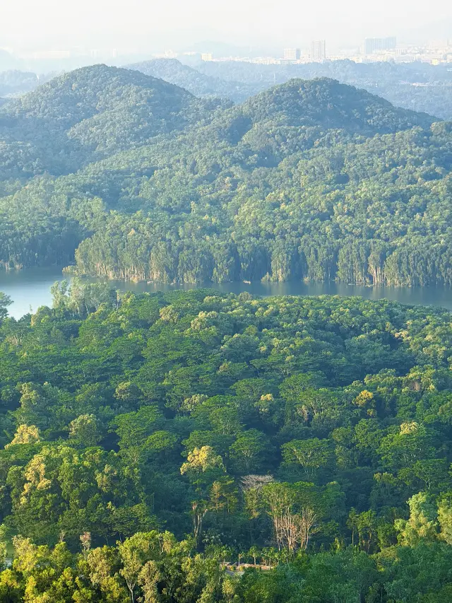 Overlooking Reservoir with a Stunning View