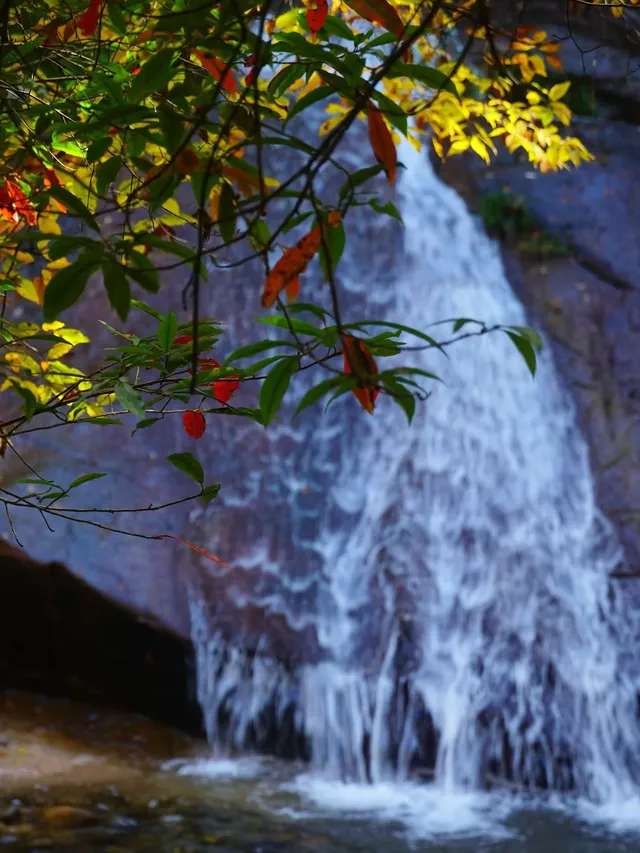 赴光霧山,收藏秋季限定浪漫 赴光霧山,收藏秋季限定浪漫