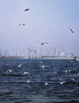 장쑤 빈하이 여행 가이드