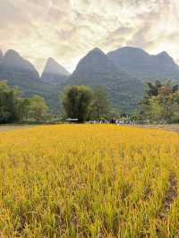 桂林-陽朔｜騎著小電驢去旅行