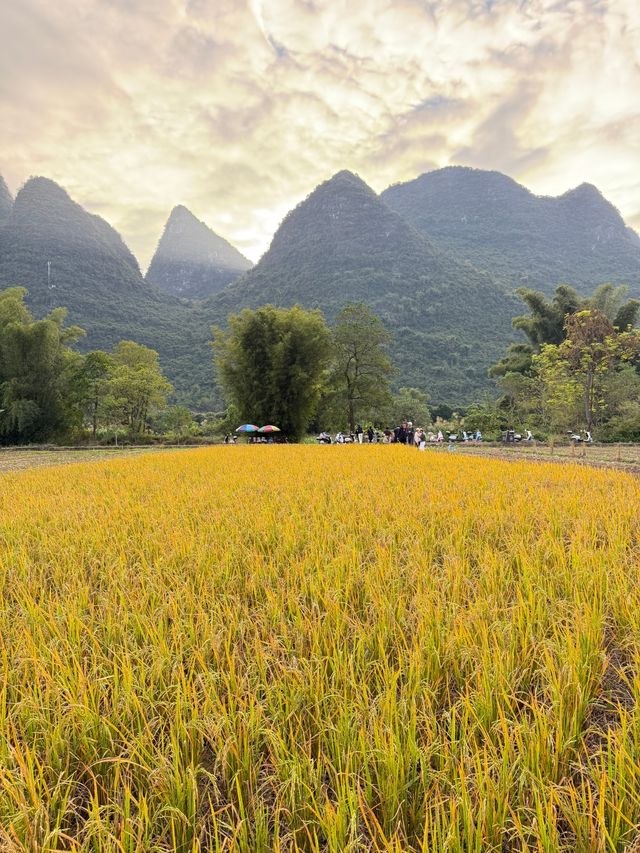 桂林-陽朔｜騎著小電驢去旅行