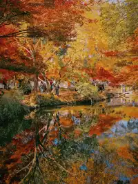 11.28上海賞楓天花板調色盤美哭