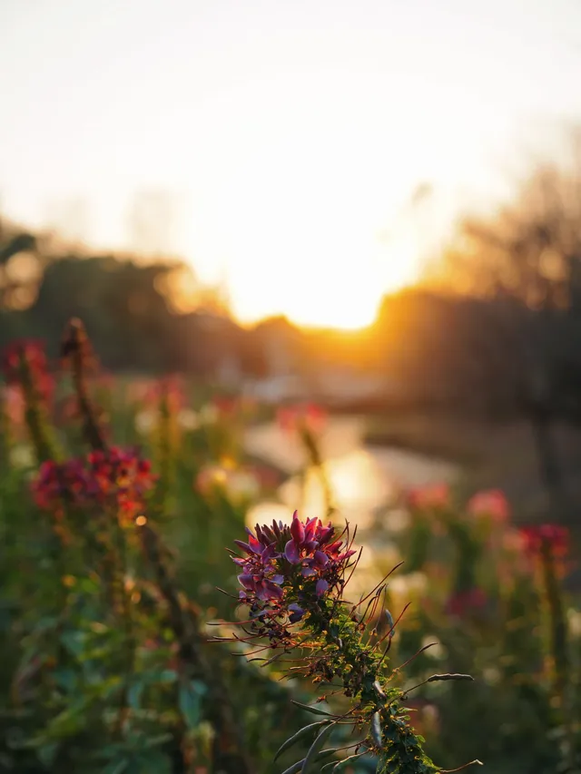 上海殺瘋了! 上海殺瘋了!