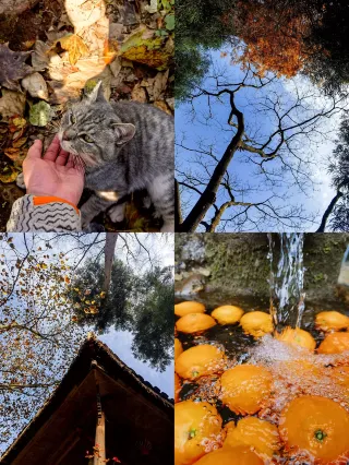 青城|和一座山的告別方式，是走過他的四季