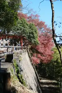 莫干山的楓葉紅啦錯過等一年