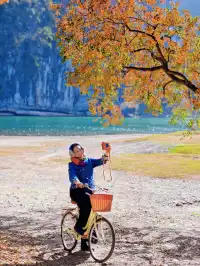 桂林陽堤隱藏款！原來「月光烏桕」的浪漫和月