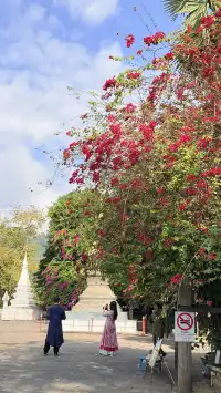 老撾琅勃拉邦香通寺