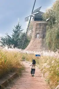 在青島也可以拍到的童話世界