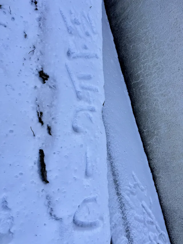 誰懂啊 雪後的黃山根本不是人間仙境 誰懂啊 雪後的黃山根本不是人間仙境