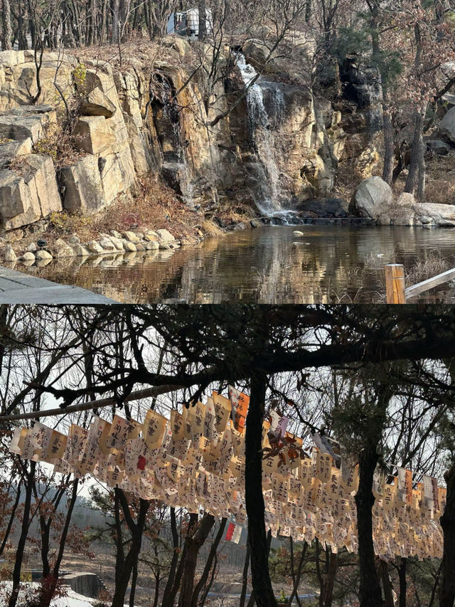 沂蒙山龜蒙景區 | 邂逅山野間的浪漫與壯美 沂蒙山龜蒙景區 | 邂逅山野間的浪漫與壯美