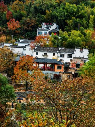 Taichuan: An autumn fairy tale where the palette has been spilled, this place is literally a real-life fairy tale world, with every inch of land dyed in brilliant colors by nature. 