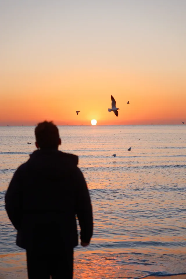 冬季阿那亞｜在日出之前