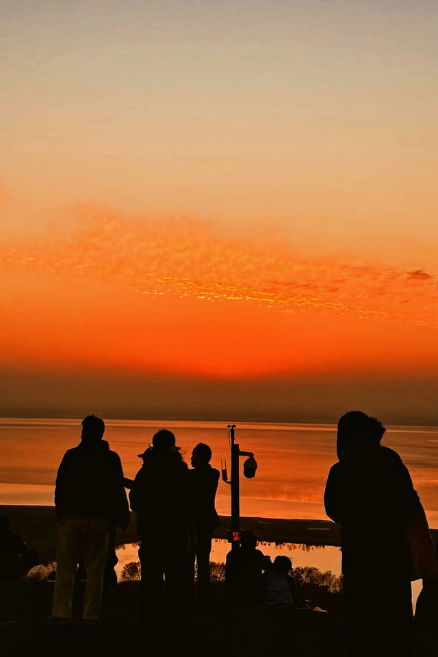 江浙滬冬季限定|0元打卡山頂橘子海日落絕絕子! 江浙滬冬季限定|0元打卡山頂橘子海日落絕絕子!