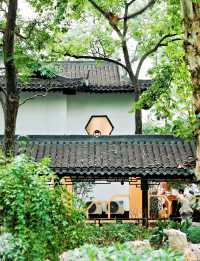 合肥私藏City walk路線 暢行霸都