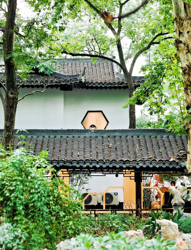 合肥私藏City walk路線 暢行霸都 合肥私藏City walk路線 暢行霸都