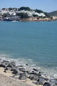 我真希望東山島能再商業化一些……