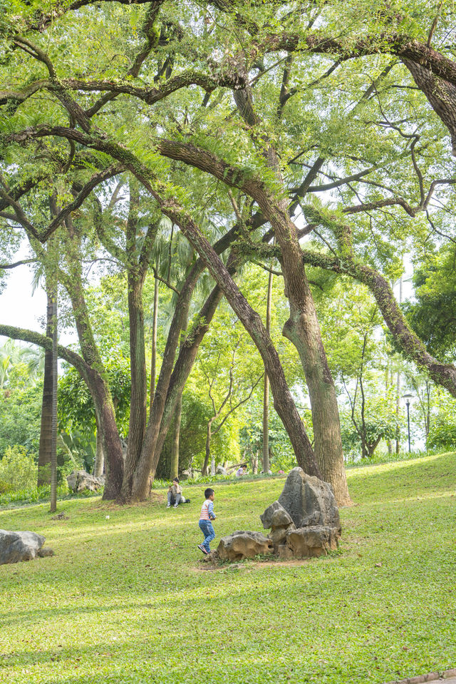 南寧綠野仙蹤的浪漫,來感受這裡的清新綠 南寧綠野仙蹤的浪漫,來感受這裡的清新綠