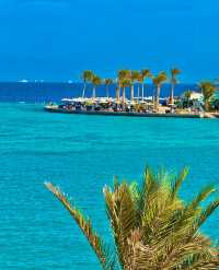 埃及紅海全包酒店天花板!這性價比絕了